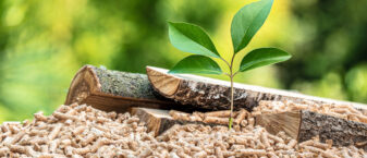 pellet de bois