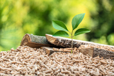 pellet de bois