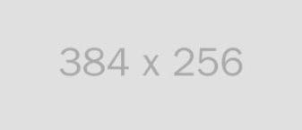 alt 384x256